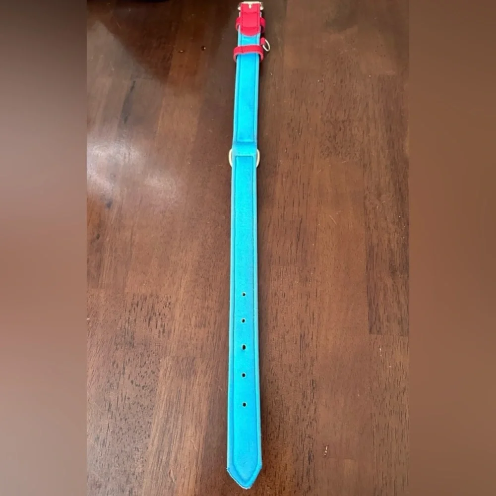 Bright Red Padded Dog Collar